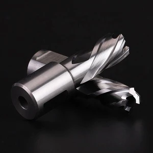 HSS Center Drill Bit Weldon Shank Broaching Magnetic Annular Cutter for Steel/Iron Rail Cutting 30-100mm Length