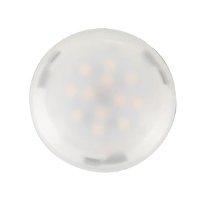 Surface Mount LED Ceiling Light All Plastic Led Interior Dome Light