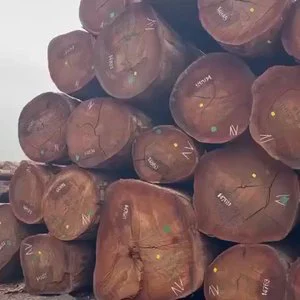 Red And White Sandalwood Logs For Sale