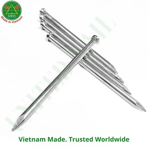 3.7 Inch Bright Industrial Galvanized Steel Nail with Smooth/Shank Type for Furniture & Construction | clavo de uso gene
