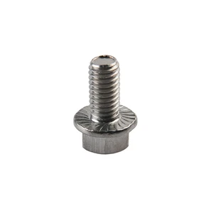 A2 Stainless Steel Plain & Serrated DIN 6921 Flanged Hexagon Bolts