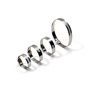 Heavy Duty 304 Stainless Steel & Plastic Adjustable Throat Pipe Clamp for Water and Gas Pipes Inch