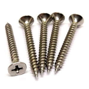 Hot Selling Stainless Steel 201 Self Tapping Nail Bugle Head Self-tapping Screw Drywall Screw