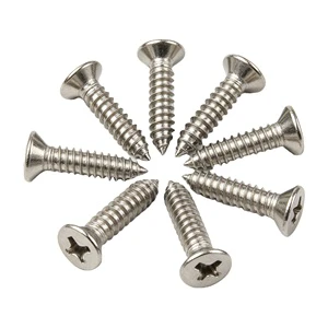 Cold Rolled 201 Stainless Steel Self Tapping Screws, Flat Head Phillips Screws for Electronic Equipment