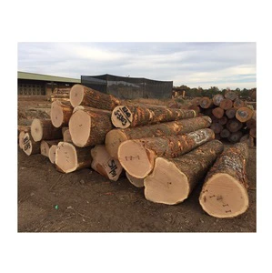 Fresh Cut Oak Wood Round Logs - Wholesale Price, Large Quantity Available