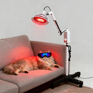 QIAOXIN Pet-Specific Red Light & Electromagnetic Wave Therapy Lamp Far-Infrared Heating Lamp CE Certified Home Use Gift Box