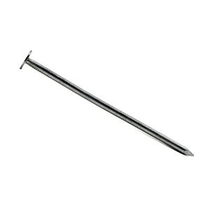 Iron Nail 1inch 2 Inch 3 Inch 4 Inch 5 Inch 6 Inch Cheap Polished Common Nails