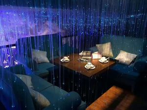 LED Fiber Optic Garden Lights IP65 Waterproof Outdoor Courtyard Ambient Lighting Energy-Saving Decorative Lamp Remote/App
