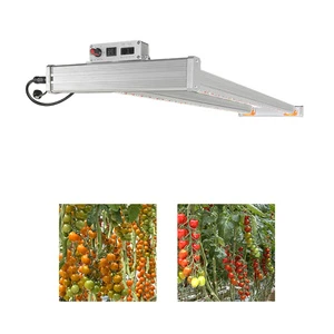 Led Grow Light 120W 160W Phytolamp Led Plant Light for Indoor Plant for Greenhouse