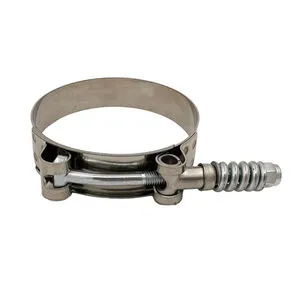 Customizable Heavy Duty Constant Tension Polished Stainless Steel Spring T-Bolt Industrial Use Hose Tube Clamp