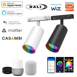 Smart Magnetic Rail LED COB Track Light Tunable White RGBW Zigbee Dali 48V Dimmable Lamp Matter Casambi Tuya