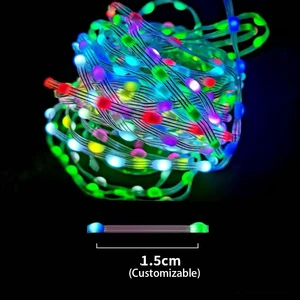 10m 32.8ft Waterproof 5V USB Powered App 24 Keys Remote Dream Color RGBIC Outdoor Holiday Wedding Decoration LED String Lights