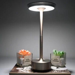 Restaurant Decorative 4W Led Battery Touch Cordless Lamps 3 Color Change Home Décor Bed Side Table Lamp With USB Charging