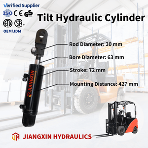 Custom Double Acting Hydraulic Tilting Cylinder Piston Rod Steel/Stainless Steel/Aluminum Body High Safety Long Service Life