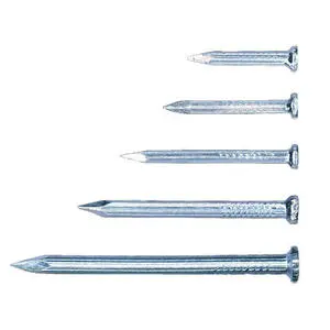 Nails Carbon Steel Galvanized Nail Manufacturer From China with Low Price and High Quality 25kg/box