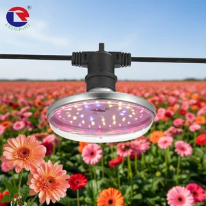 LED Plant Light Energy Saving 15W Indoor Pot for Succulent Growth White Spectrum Bloom & Plant Growing