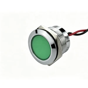 19mm Metal LED Indicator Light IP65 Waterproof Flat Head 12V 24V Industrial Control Panel Signal Lamp