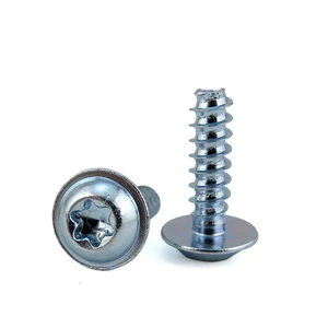 Stainless Steel Carbon Steel Zinc Plated Pan Torx Head Thread Forming Self Tapping Screw for Plastic