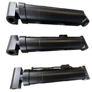 Customizable High Pressure Hard Chrome Plated Steel Hydraulic Cylinder for Heavy Duty Industrial Lifting Equipment Machine