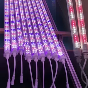 IP65 1ft to 8ft T8 Full Spectrum Waterproof Led Grow Tube Light 32W Hydroponics Indoor Plant Growth for Lettuce & Bloom