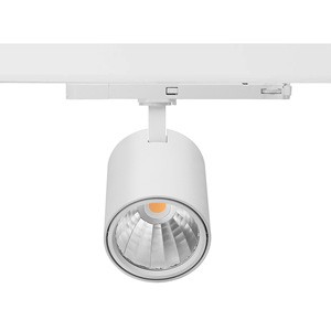 Ecolux Commercial 30W Black White Cob LED Track Spotlight Aluminum Recessed Retail Shop Supermarket LED Track Light