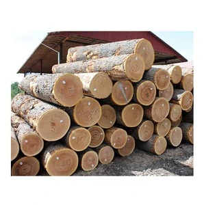 Oak Wood Round Logs - Kiln-Dried, Natural, Various Sizes Available