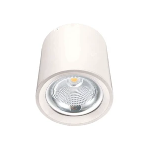 China Surface Mounted Ceiling Down Lamp Dimmable Downlighting COB LED Light Downlight 20 W Price