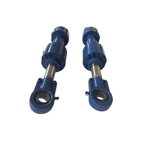 Customized Stainless Steel Double Acting Hydraulic Cylinder with Hard Chrome Plated Piston Rod