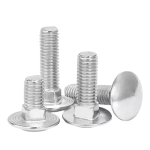 Decorative SS304 Carriage Bolt and Nut, Polished Stainless Steel Round Head Square Neck Bolt for High-end Garden Furniture