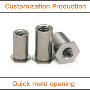 Custom Hexagon Weld Nut Stainless Steel Blind Hole Pressure Riveted Stud Clamp Plate Nut Column