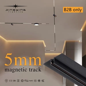 Modern Magnetic Ultra-mini Track Linear LED Light for 5mm Aluminum Track Dimmable DC24V 3-Year Warranty High CRI 80