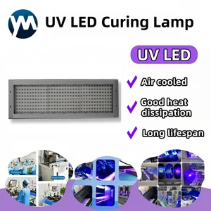 High Power 900W UV LED 395nm Lamp UV LED Curing Air Cooling UV Light for Screen UV Printer