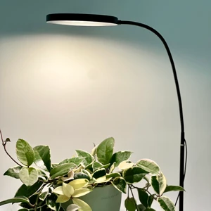 LED Standing Grow Light for Large Plants 85-265V Plant Light with Stand Floor Grow Lamp with Timer