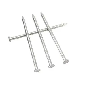 Shuojia Premium 304 Stainless Steel Round Nail Durable Fasteners for Construction