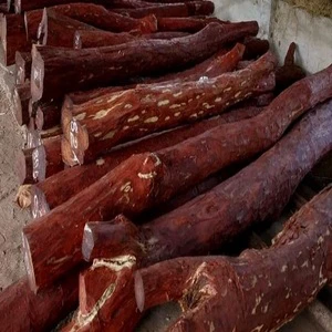 Buy Red And White Sandal Wood Logs Premium Quality For Fragrance And Craft Use Fast Delivery Available Wholesale Deals Online