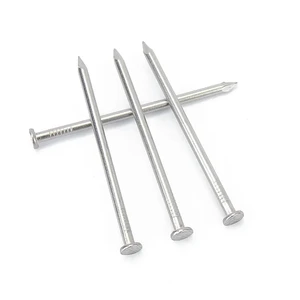 Super Good Quality Polished Nail/Galvanized Iron Nail/Concrete Nail