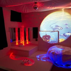 Led Fibre Lights Sensory Optic Fiber Lighting Kits with Multi Strand Sparkle Fiber Optic Side Emitting