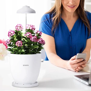 Modern Design Bluetooth Smart Indoor Timer Function Full Spectrum Desktop Luminescent Diode Plant Growth Light for Home Use