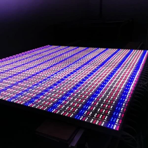 2022 New Plant Growth Lamp 10W 20W 30W 40W LED Full Spectrum Plant Lamp Greenhouse Hydroponic Plant Growth Lighting