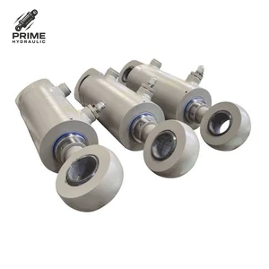 Water Hydraulic Cylinder Manufacturer Custom Hydraulic Piston Ram with Anti Corrosion Treatment for Seawater Desalination System