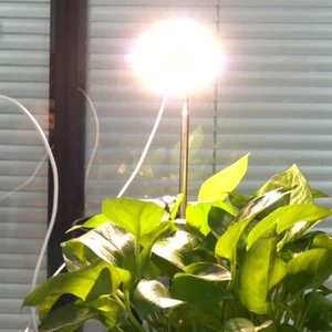 Indoor LED Plant Grow Light with Free Height Adjustment & 3 Modes of Brightness Automatic Timing Fill Light