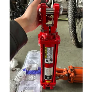 Professional Grade Double Acting Mini Hydraulic Cylinder for Steering & Lifting