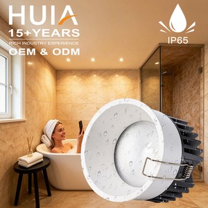 IP65 Waterproof High Purity Aluminum LED Downlight 20W 30W 40W RA92 Dimmable CE Certified for Hotel