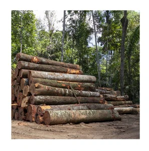 Natural Teak Wood Logs Dried Round Hardwood Timber for Sawmill and Wood Processing Export