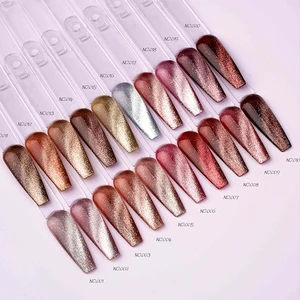 2024 UV Nail Cat Eye Winter and Fall Collection Gel Polish Color with Magnet Powder Easy to Draw a Bright Cat Eye