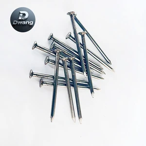 Corrosion Resistant Common Iron Nails with Polished Finish and Wood Building Nails for General Use Common Wire Nails