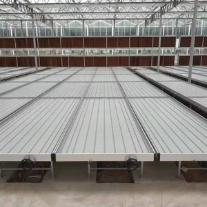 2025 Hot Sale Rolling Bench Grow Table With Vertical Pole Agricultural Greenhouse Ebb and Flow ABS Grow Tray