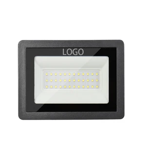 Fast Shipping Aluminum Lamp Body IP66 Waterproof Outdoor 30W Led Flood Light With Smd Chip