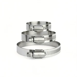 Factory Custom SS 304 Stainless Steel 6mm-350mm American Clip Screw Drive Worm Gear Hose Clamp