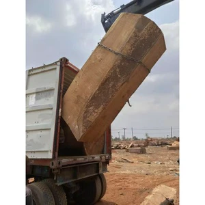 Timber Fresh Wood Timber Log in Our Forest Cutting Iroko for All Weather Resistance and Longevity From Nigeria